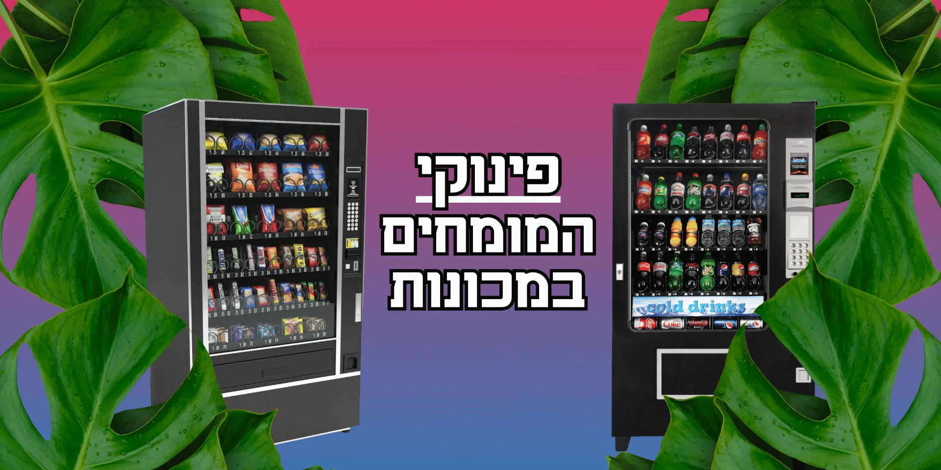 באנר פינוקי